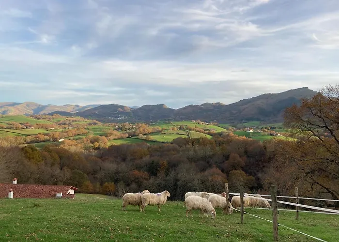 Aguilera 2 A 4 Pers *