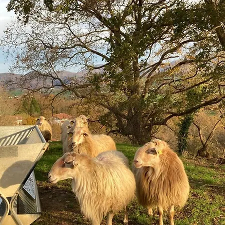 Lägenhet Aguilera 2 A 4 Pers Biarritz