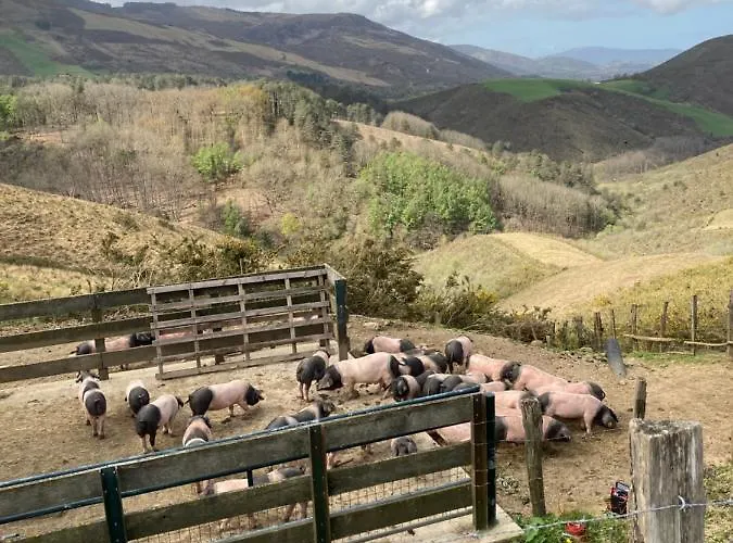 Aguilera 2 A 4 Pers *